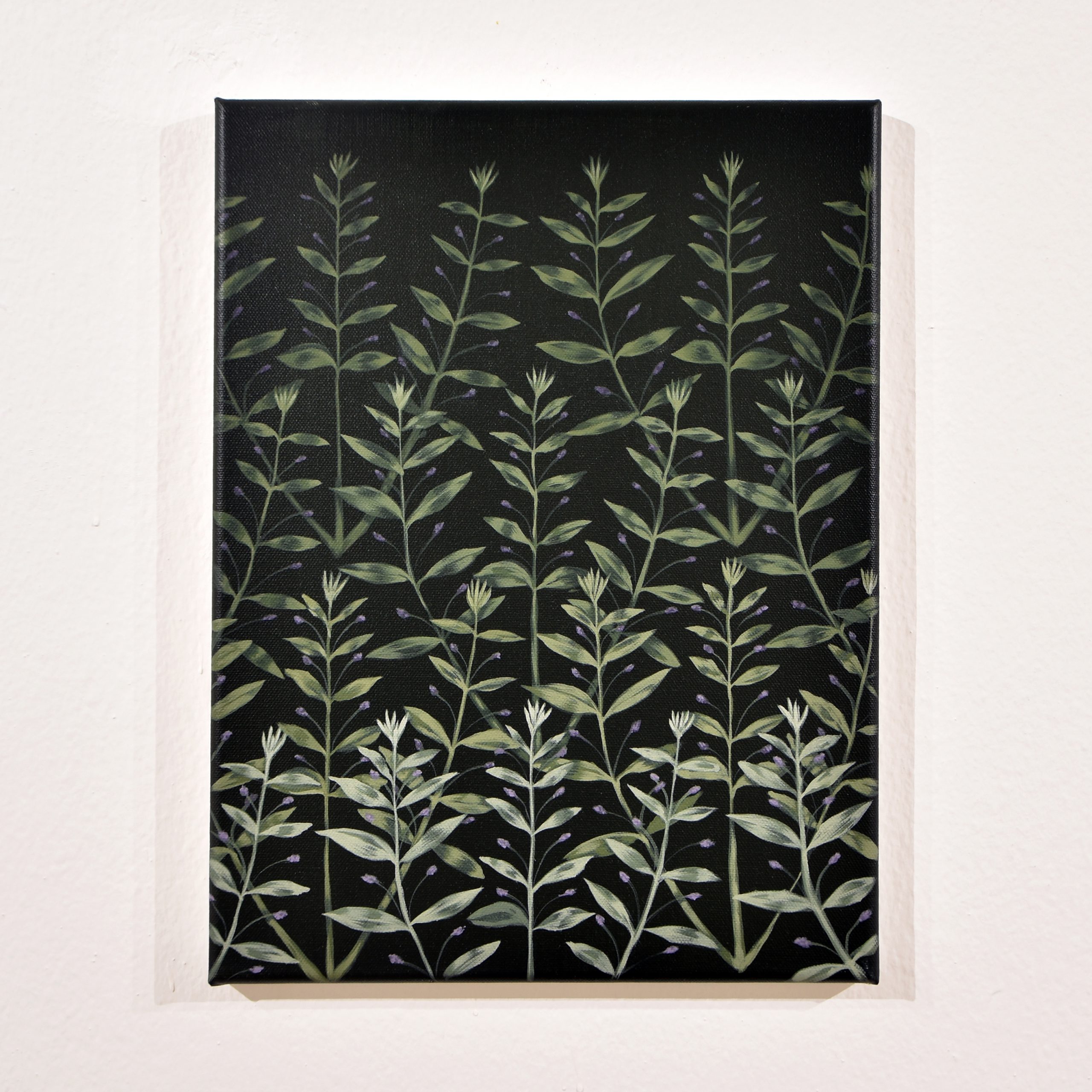 Francesco Ciavaglioli - Klon, 2021, acrilico su tela, 40 x 30 cm