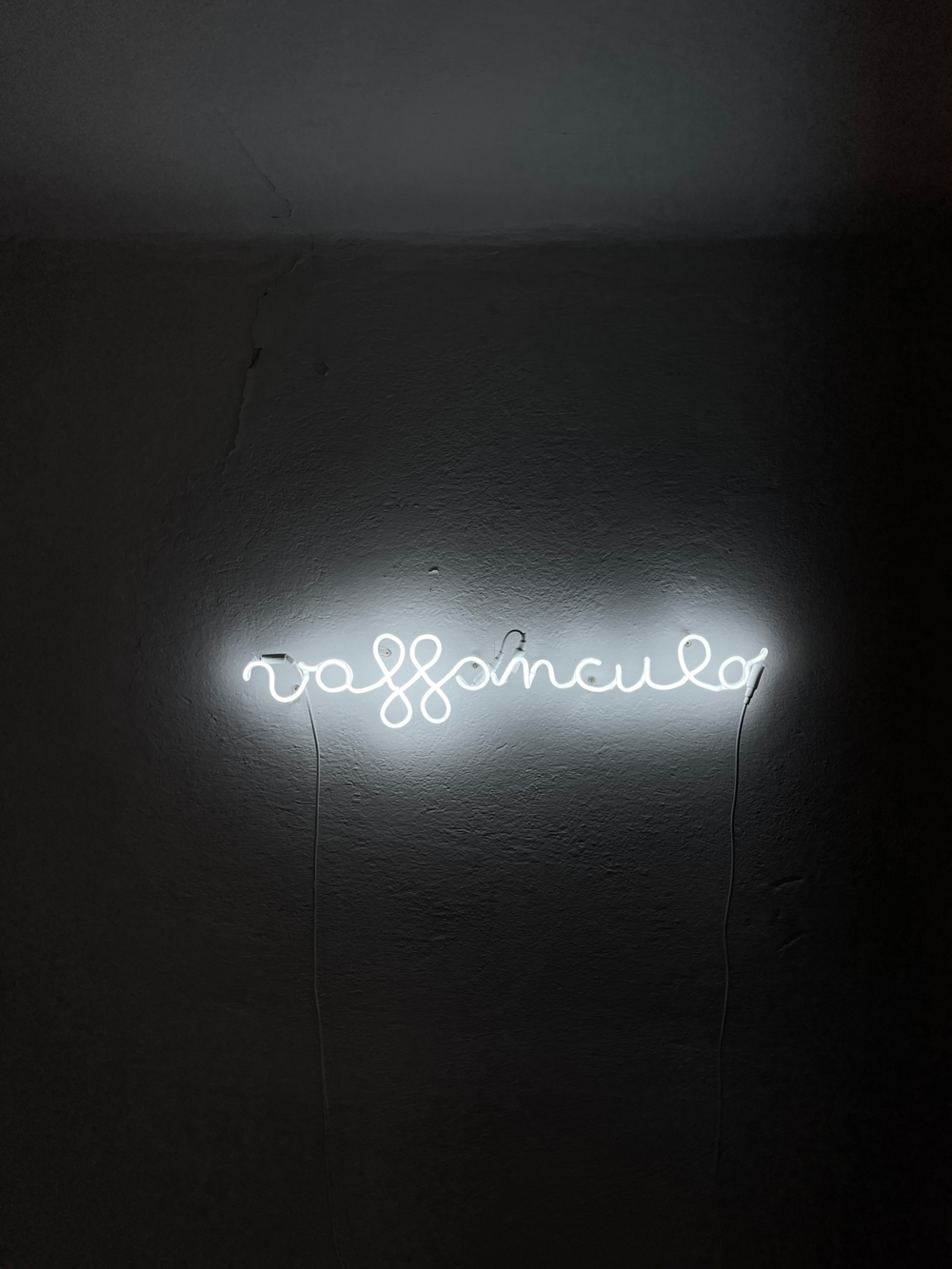 Matteo Bianco, VaffanculoLight, 2020, neon, 13,5x70 cm