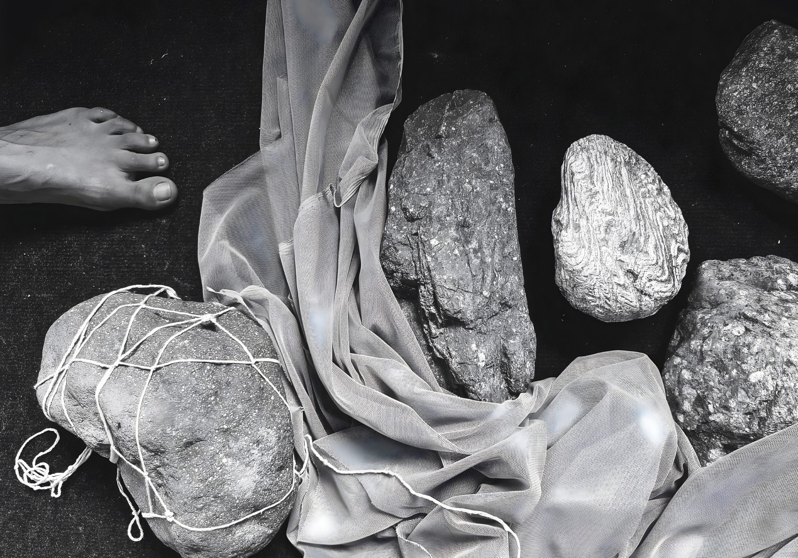 immagine vip booming 2026